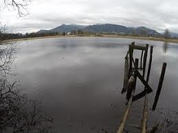 der Förchensee